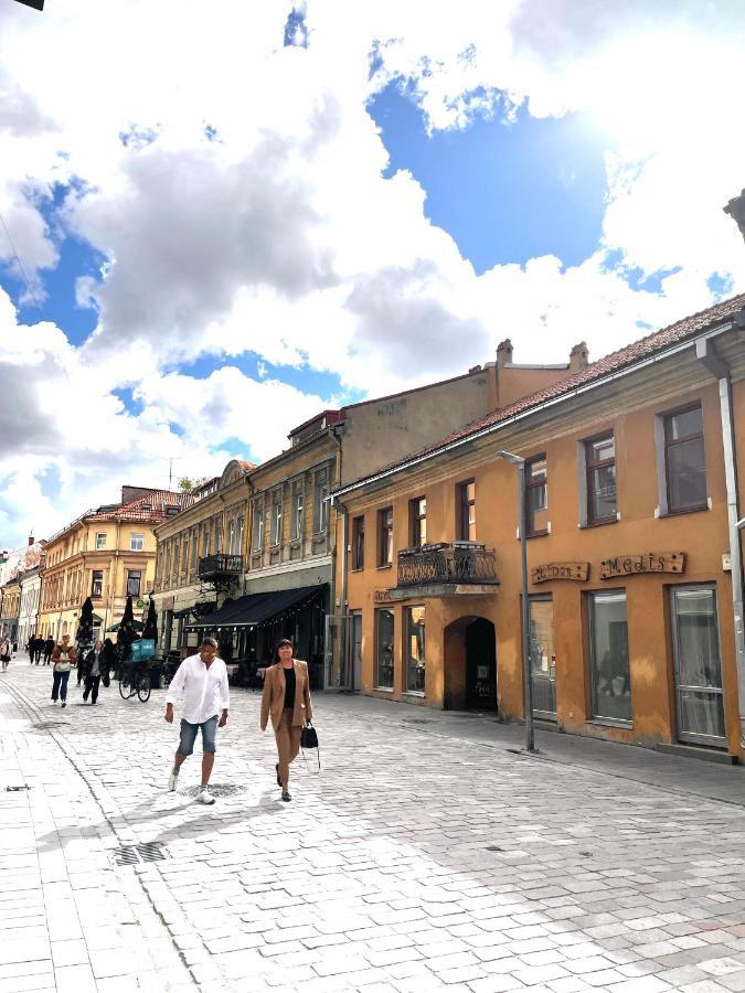 Stylish Apartment In The Heart Of Kaunas Old Town Zewnętrze zdjęcie
